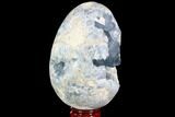 Crystal Filled Celestine (Celestite) Egg Geode - Large Crystals! #88286-1